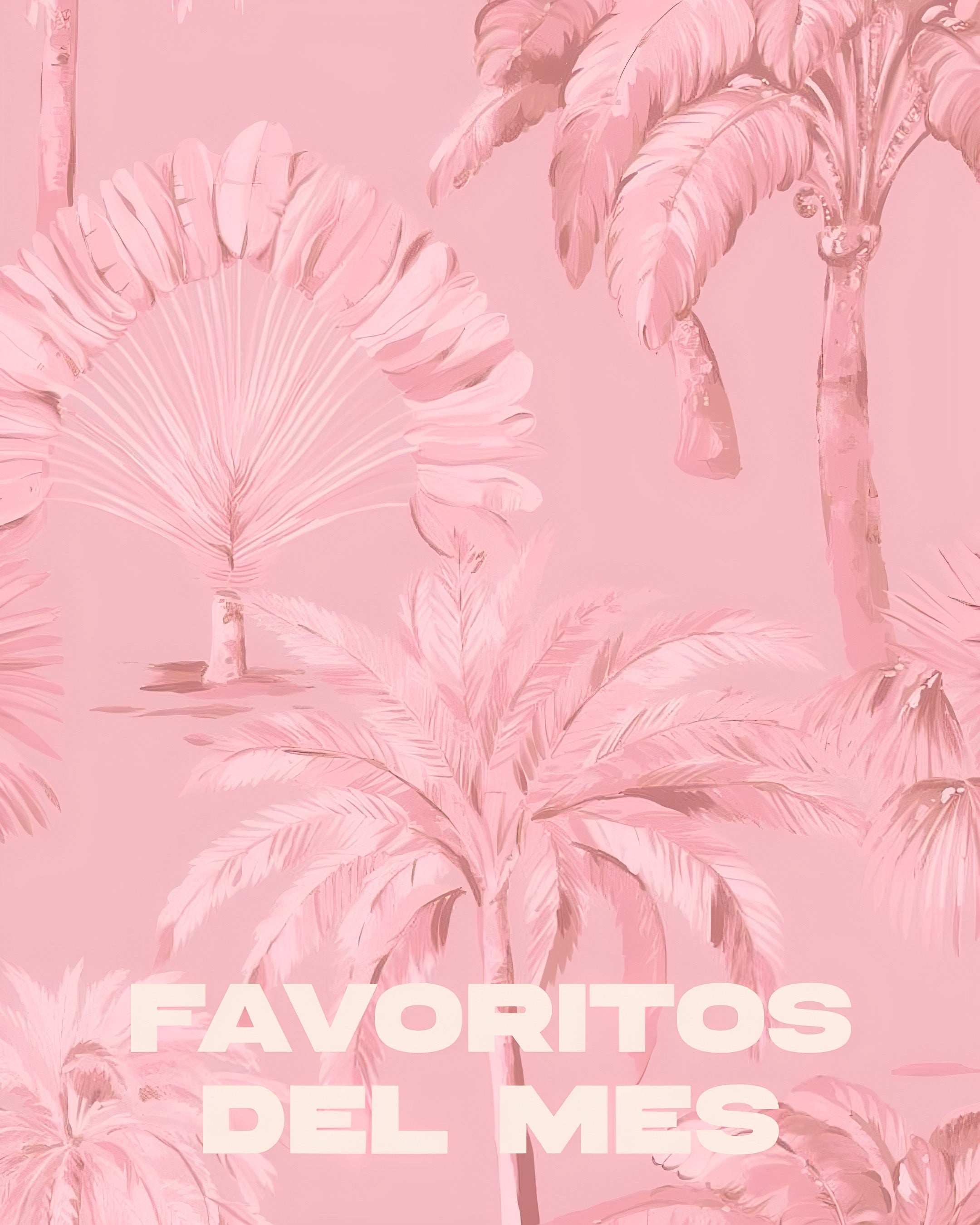 FAVORITOS DEL MES