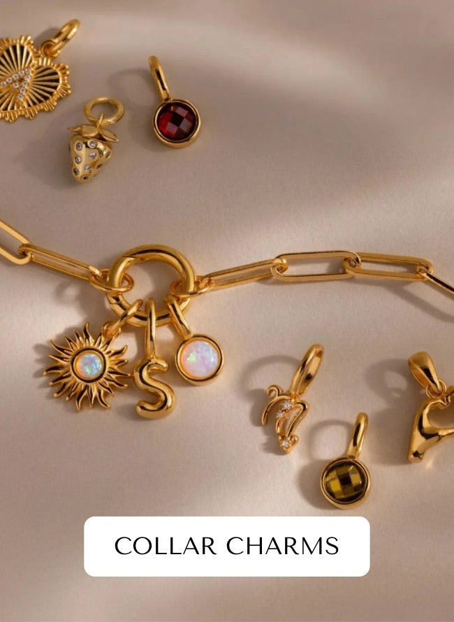 Collar Charms