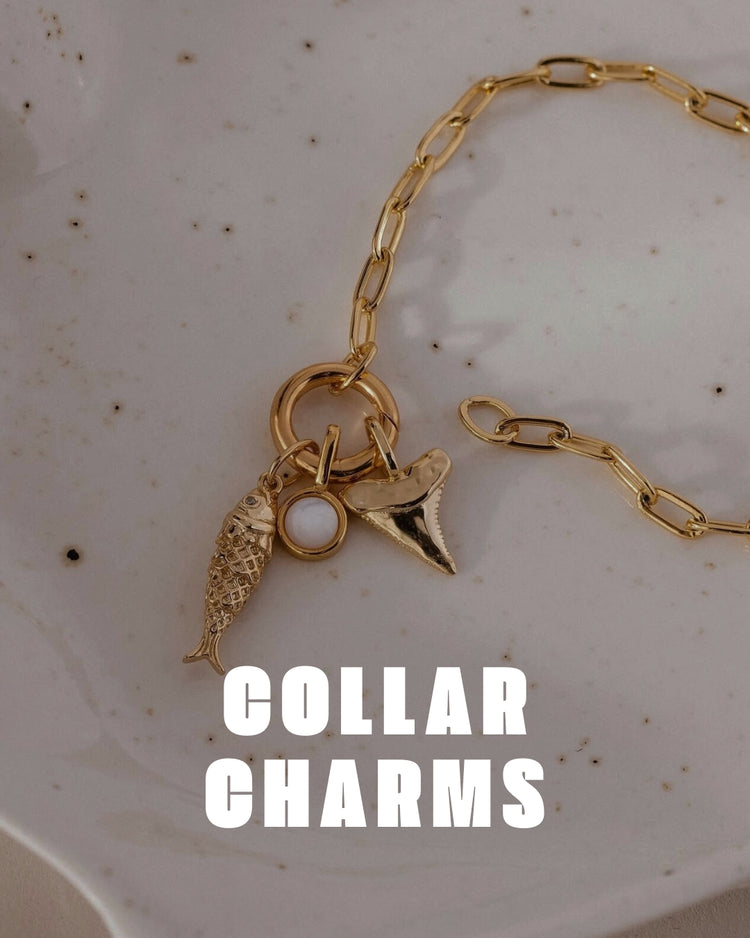 Collar Charms