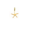 CHARM STARFISH