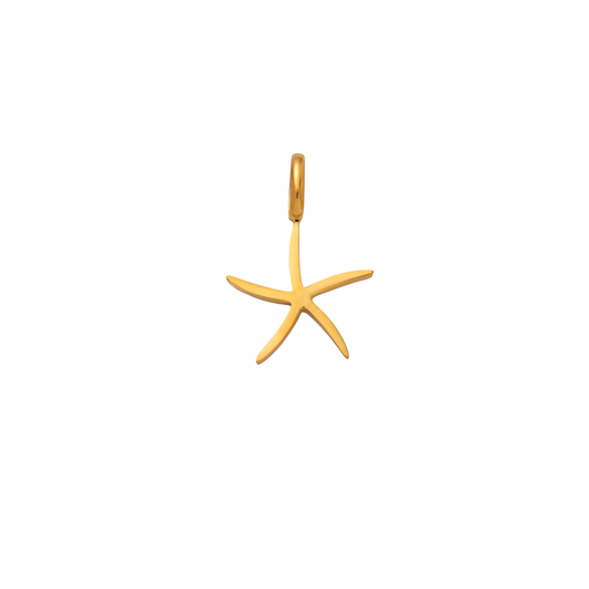 CHARM STARFISH