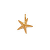 CHARM STARFISH