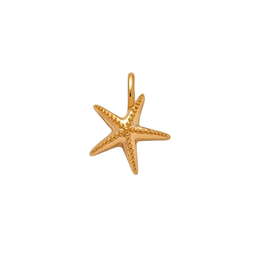 CHARM STARFISH