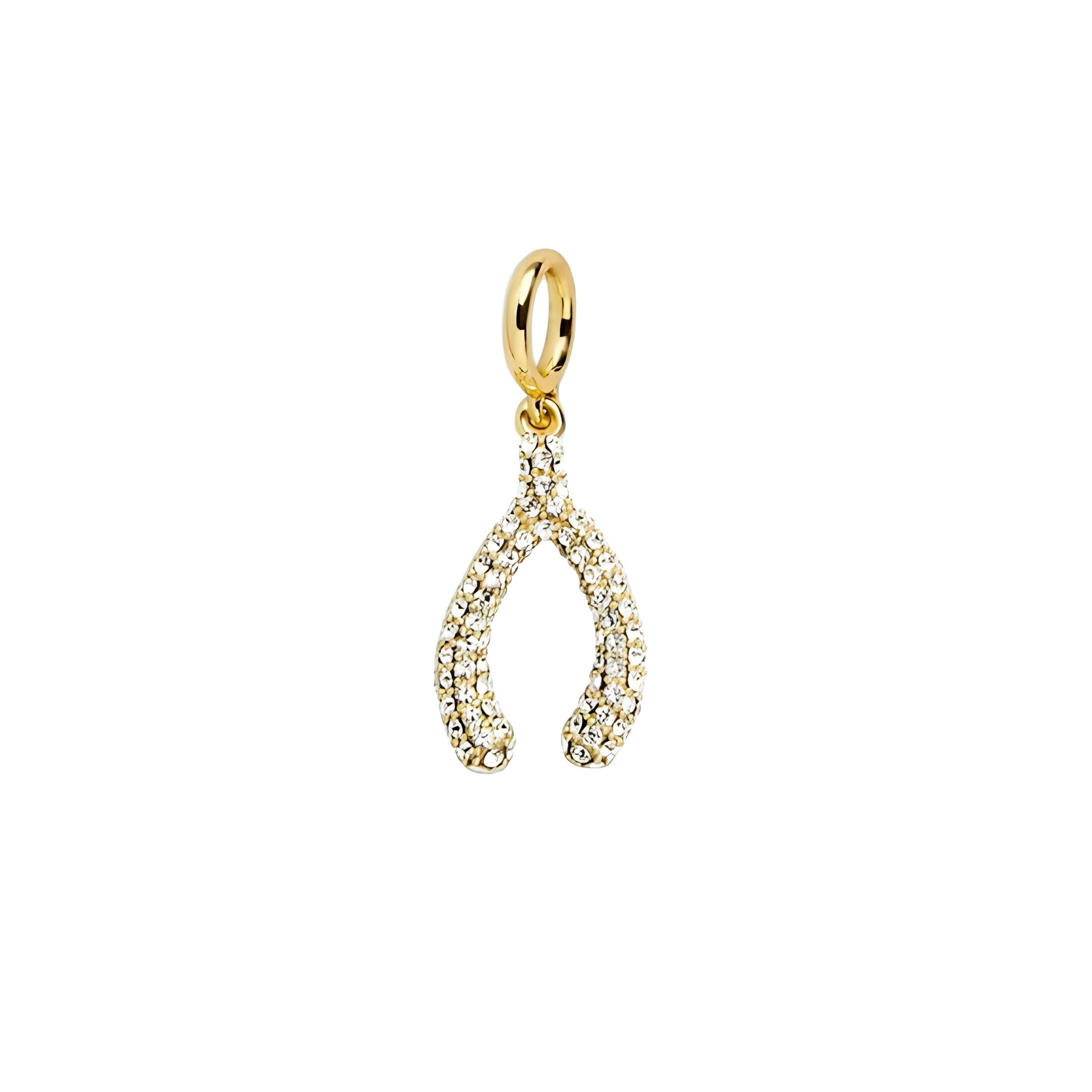 CHARM SHINY HORSESHOE