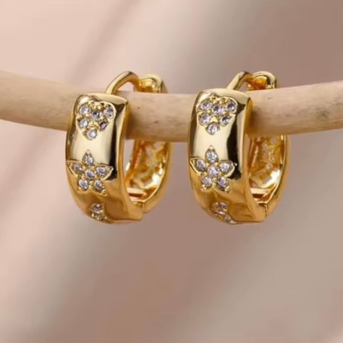 PENDIENTES SARAN