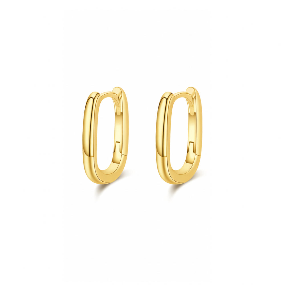 PENDIENTES LEIA