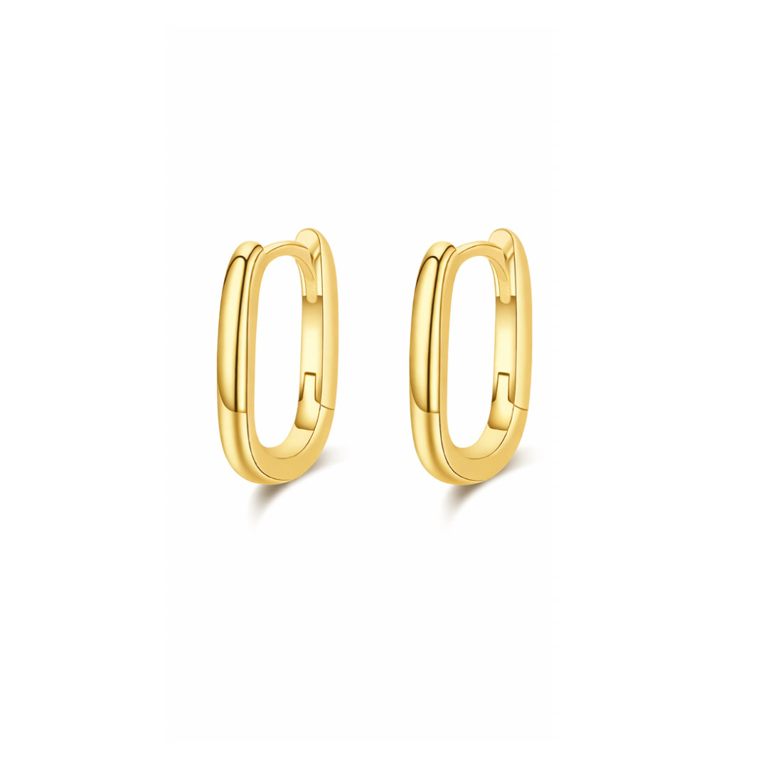 PENDIENTES LEIA