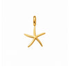 CHARM STARFISH