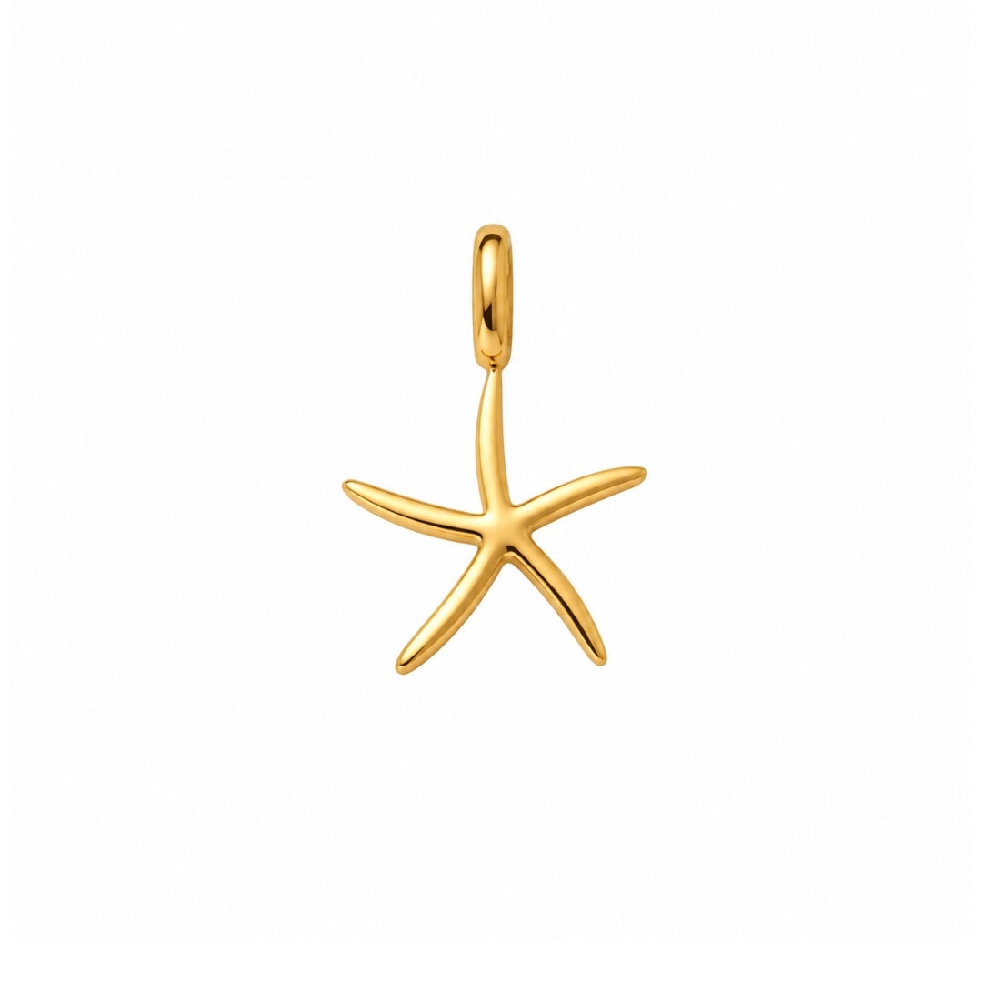 CHARM STARFISH