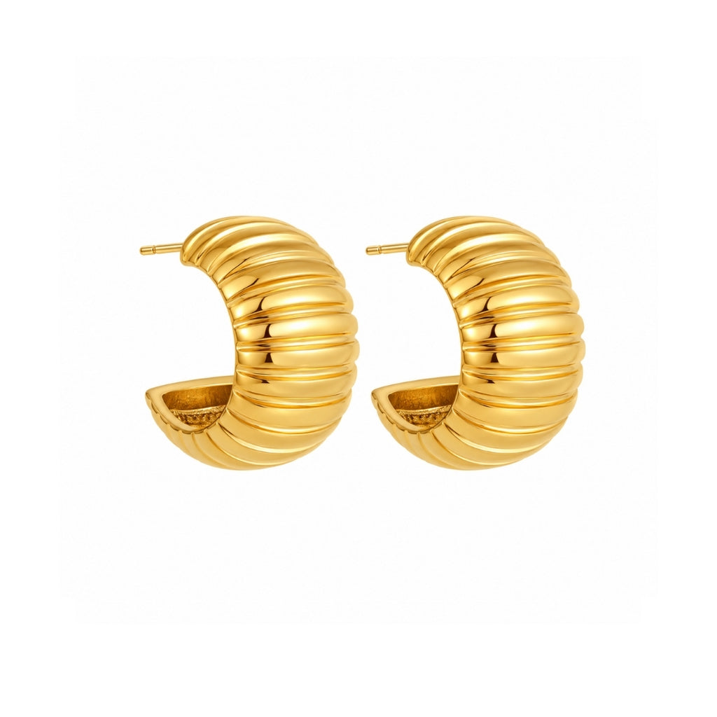 PENDIENTES NICOLI
