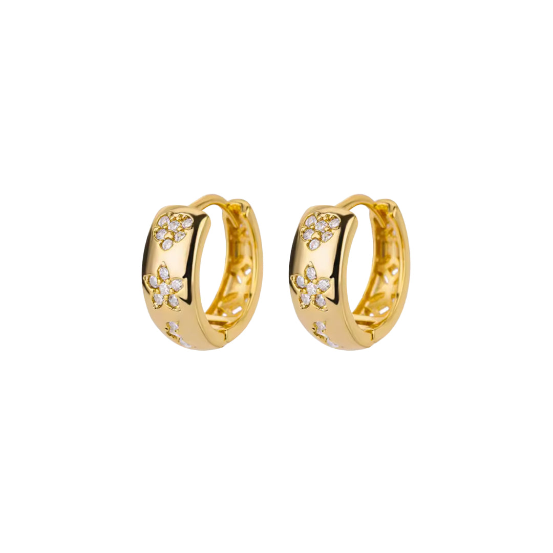 PENDIENTES SARAN