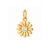 CHARM DAISY FLOWER