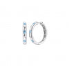 PENDIENTES HACHIKO