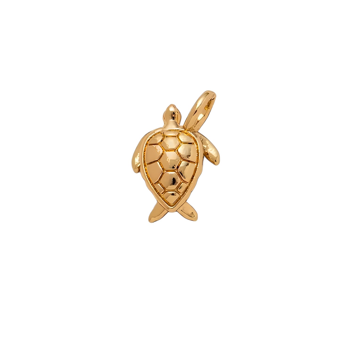 CHARM GALAPAGO