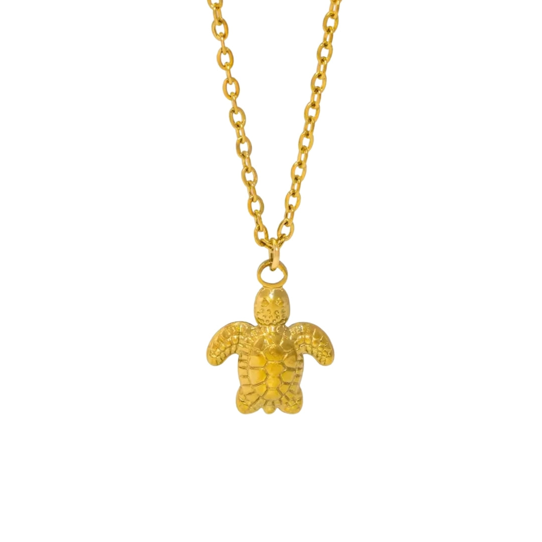 COLLAR GALAPAGO