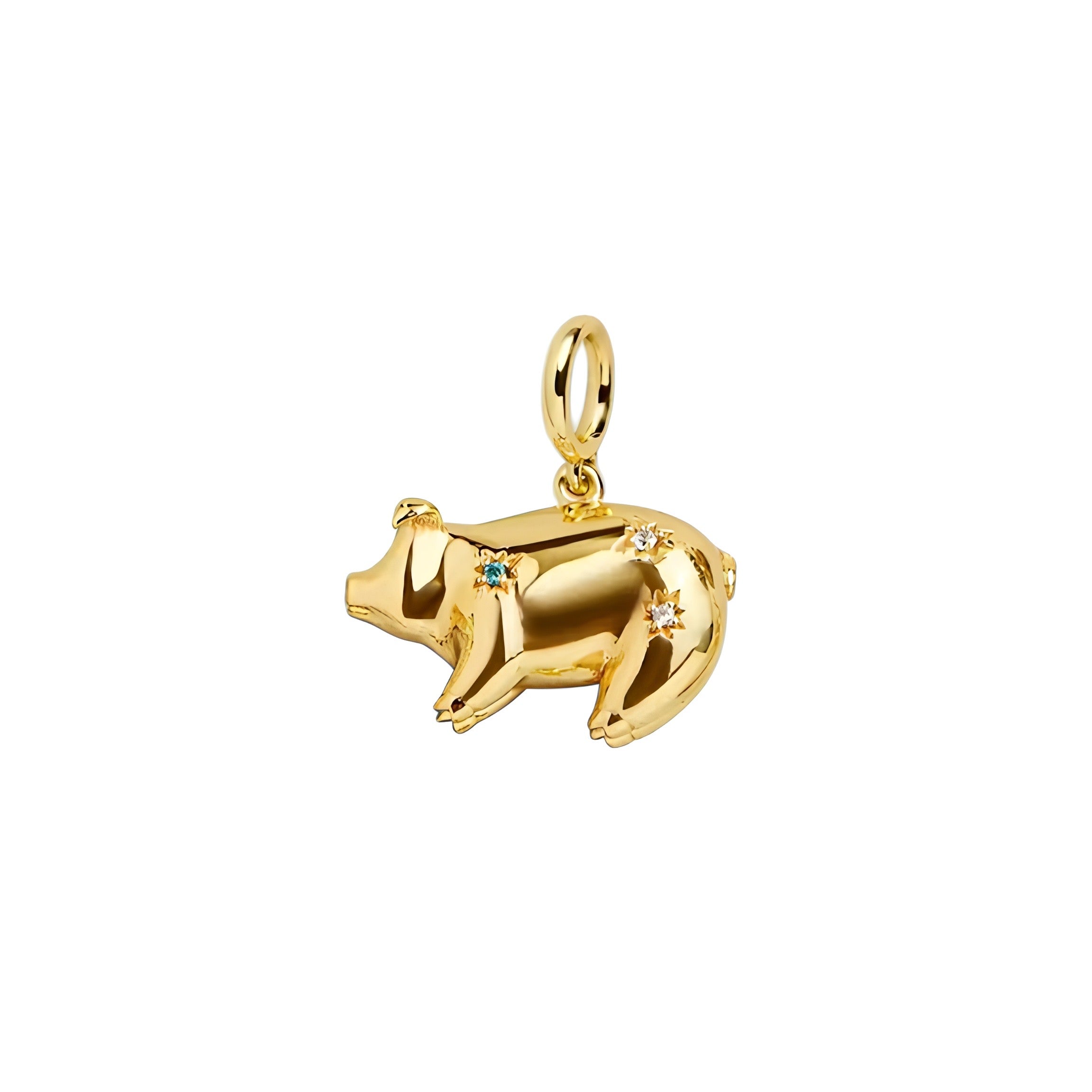 CHARM PIG