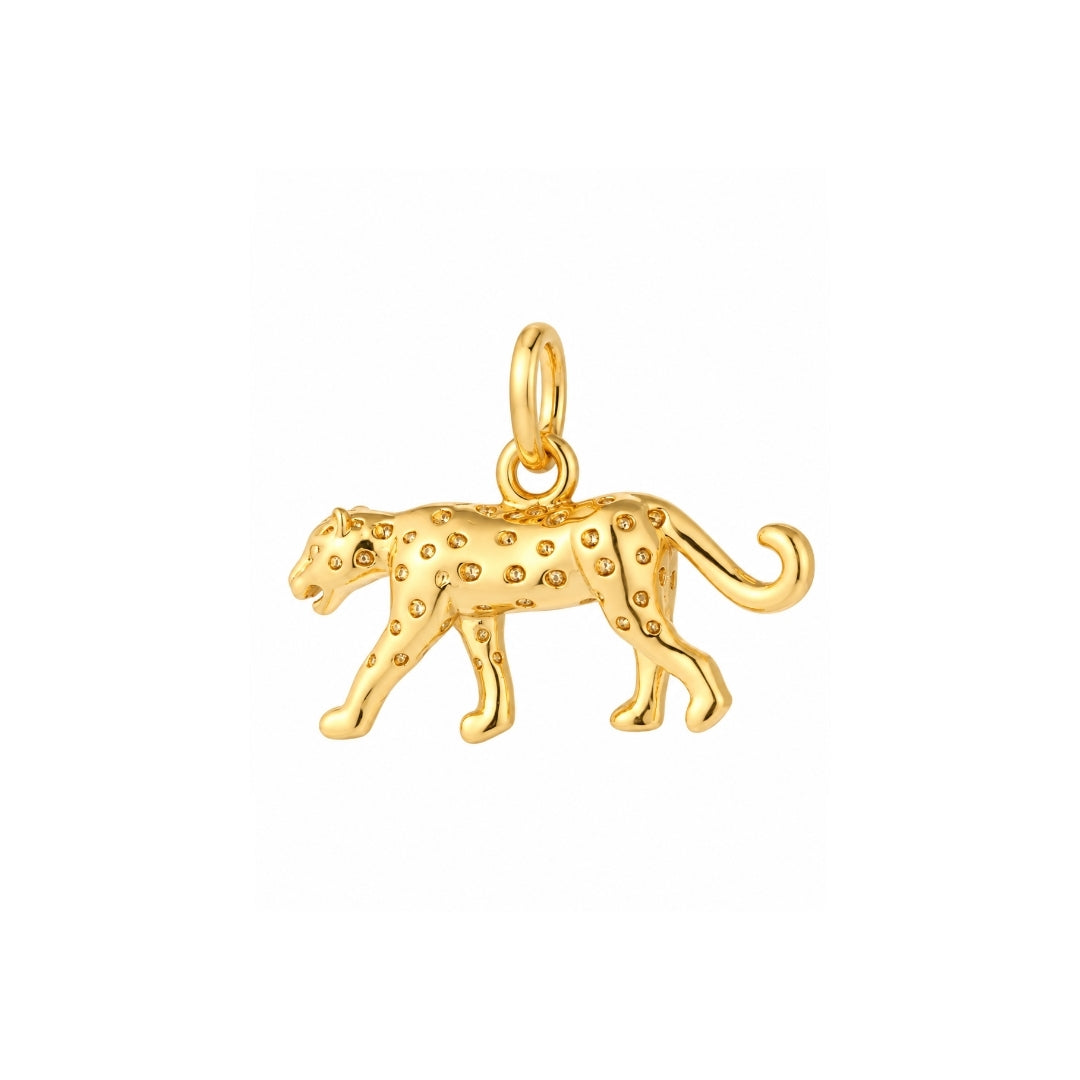 CHARM JAGUAR