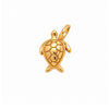 CHARM GALAPAGO