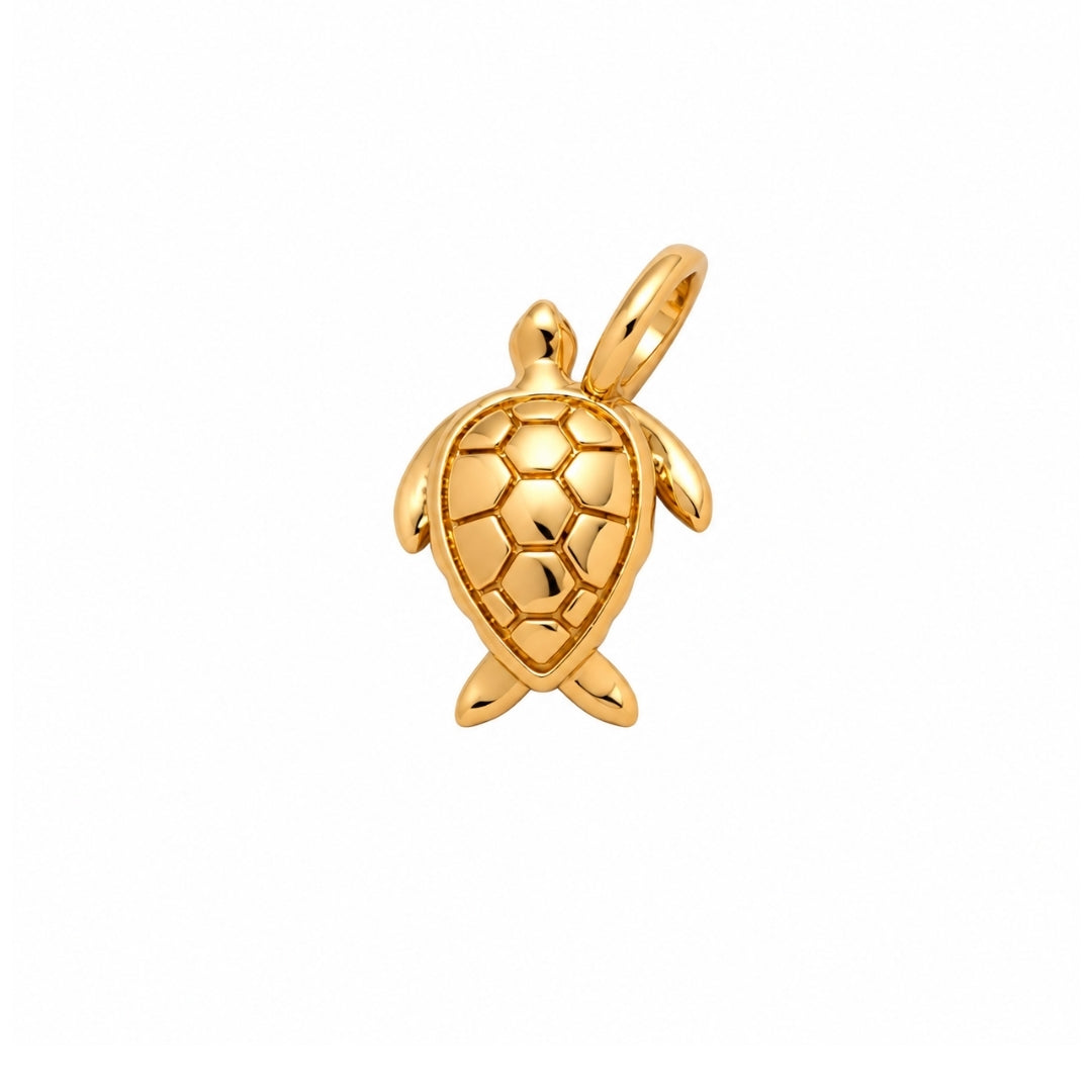 CHARM GALAPAGO