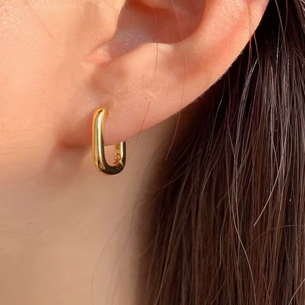 PENDIENTES LEIA