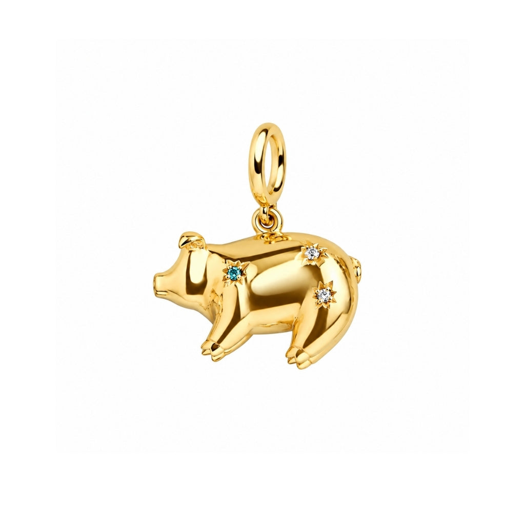 CHARM PIG