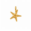 CHARM STARFISH
