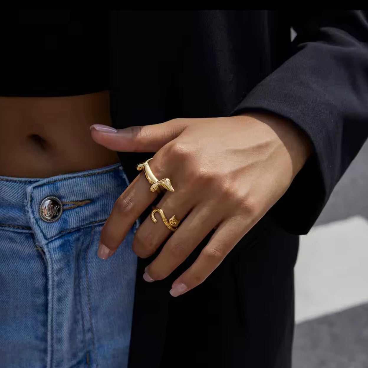 ANILLO DOGGY