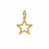 CHARM STAR
