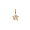 CHARM STAR