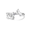 ANILLO FAMILY CAT