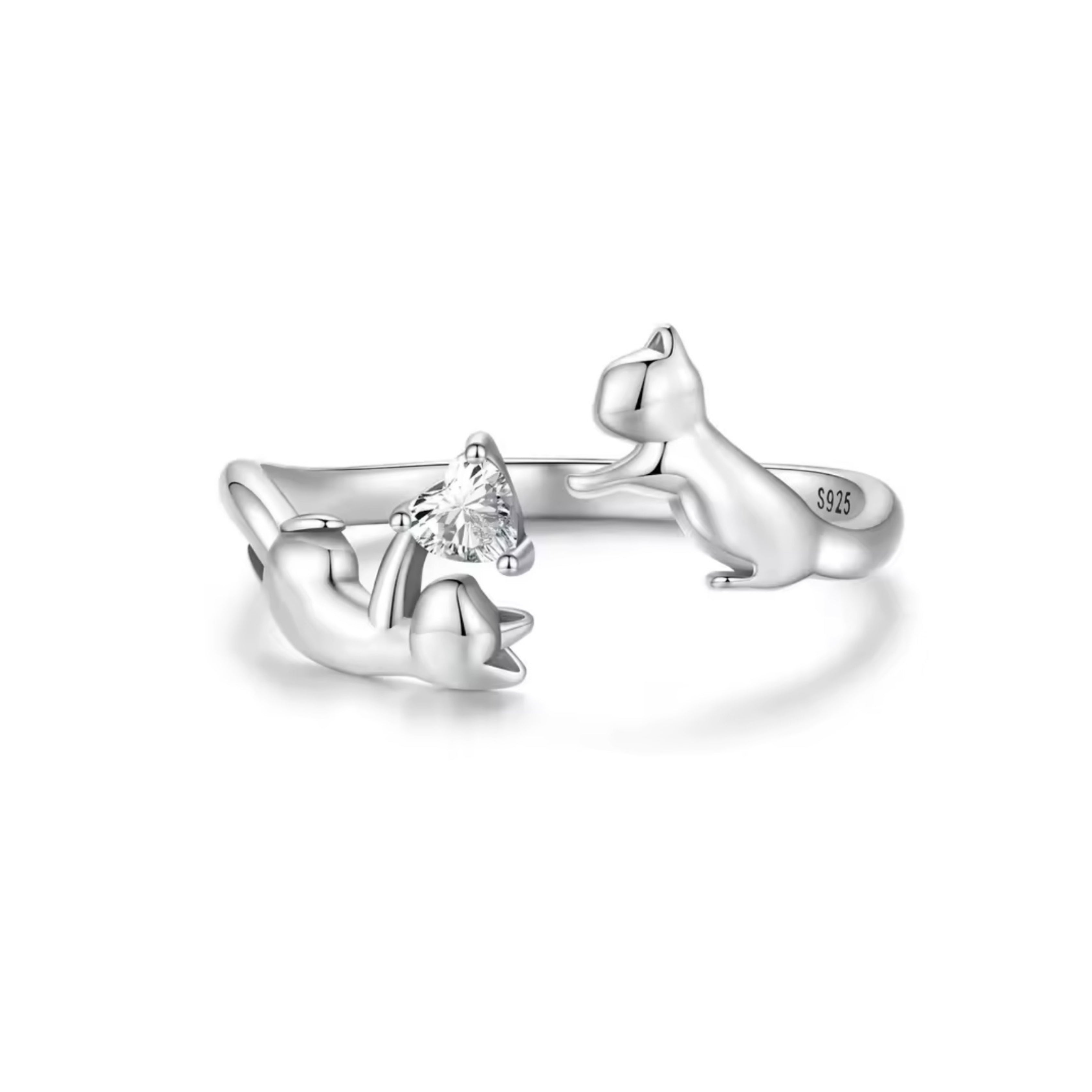 ANILLO FAMILY CAT