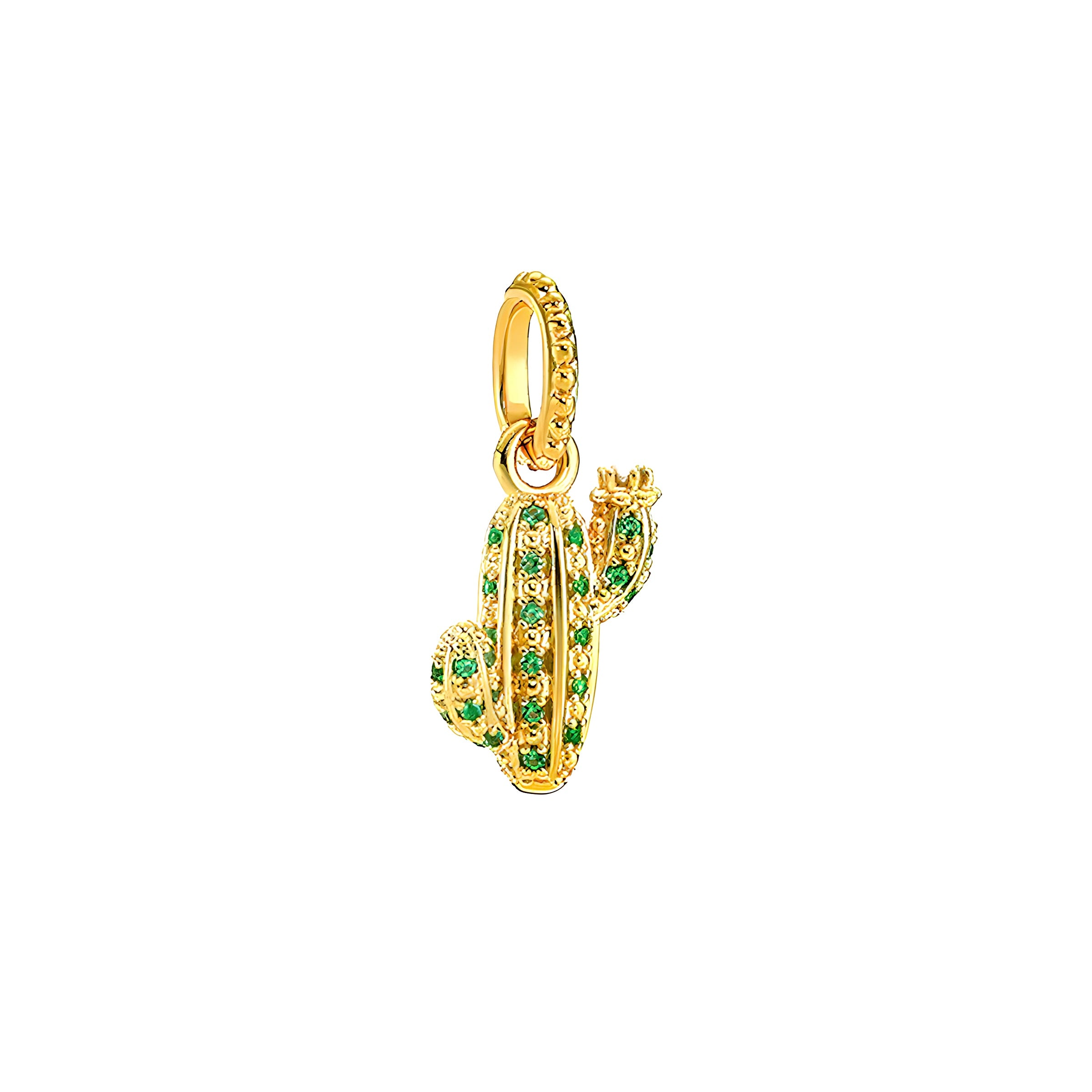 CHARM CACTUS