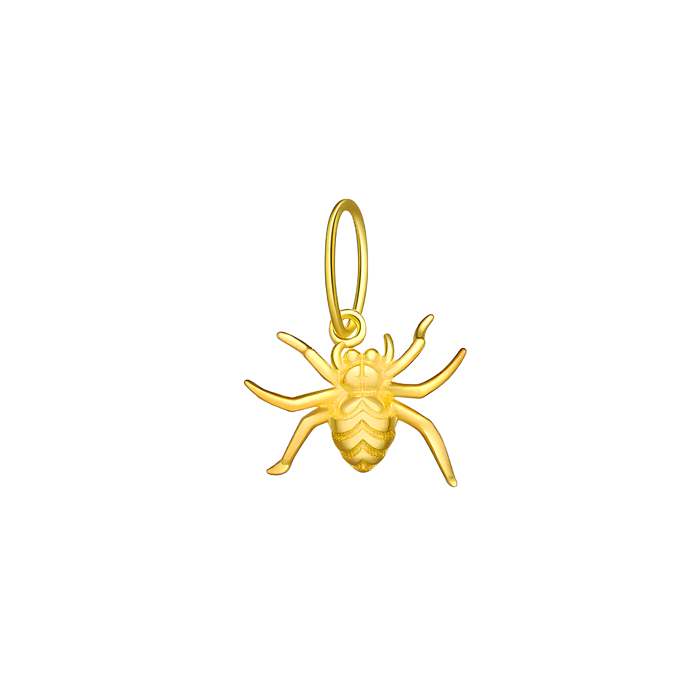 CHARM SPIDER