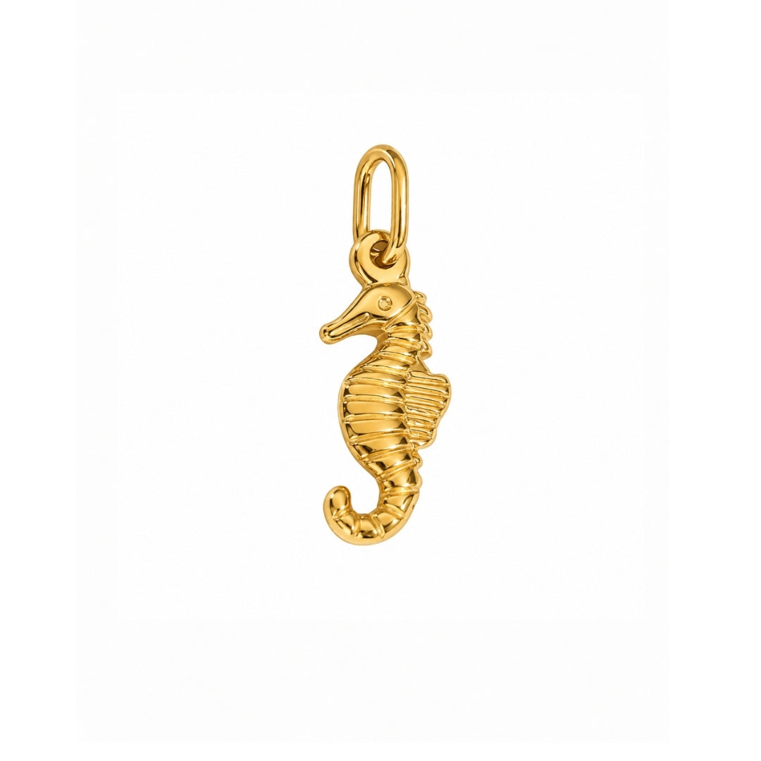 CHARM CABALLITO MAR